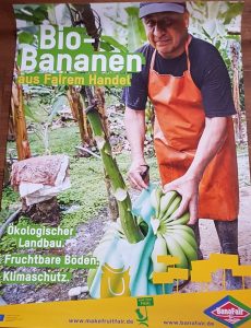 Bio-Bananen