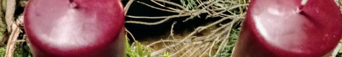 20191201_174419_HDR.jpg